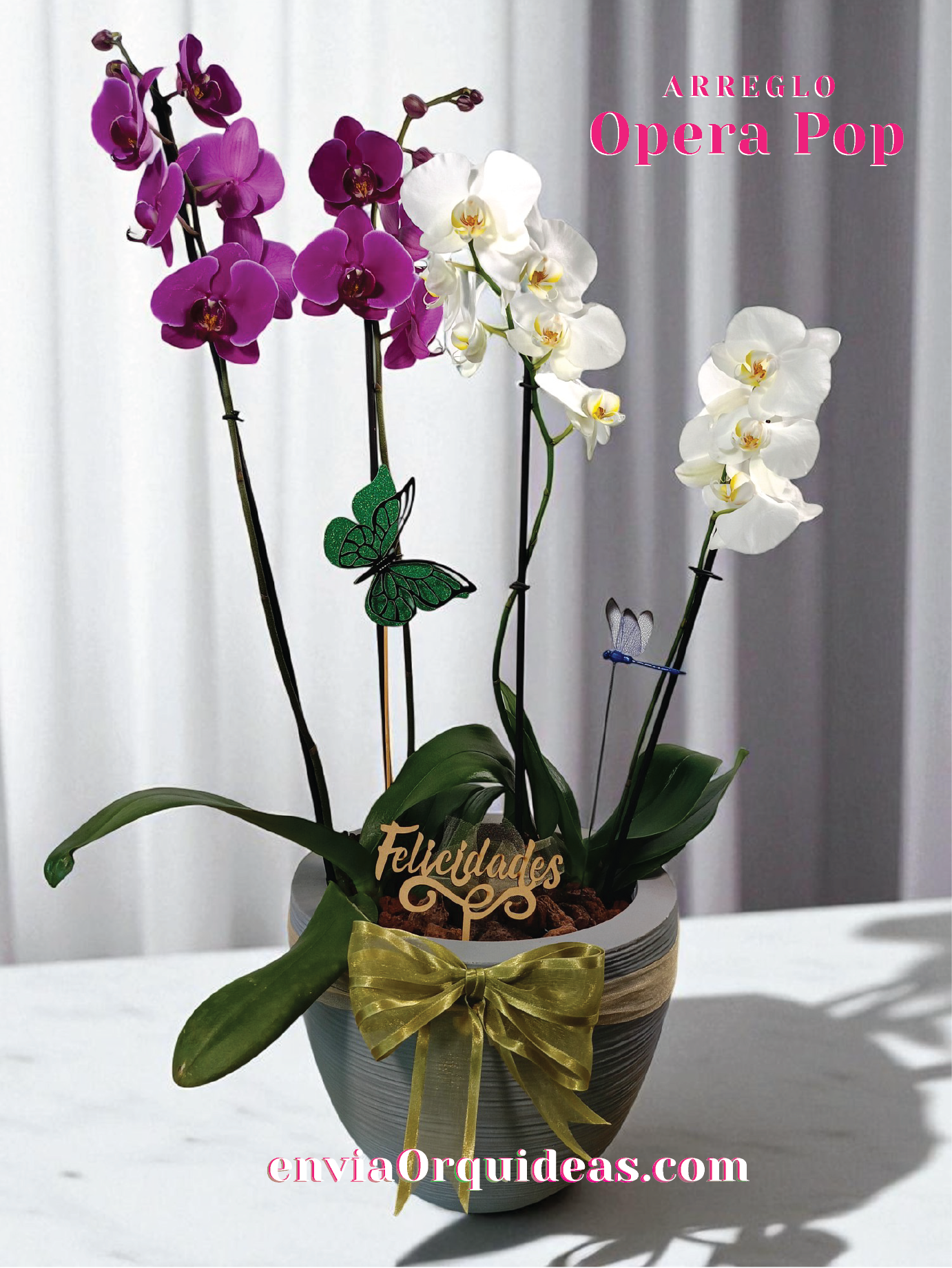 AU-008 Orquídeas Opera Pop