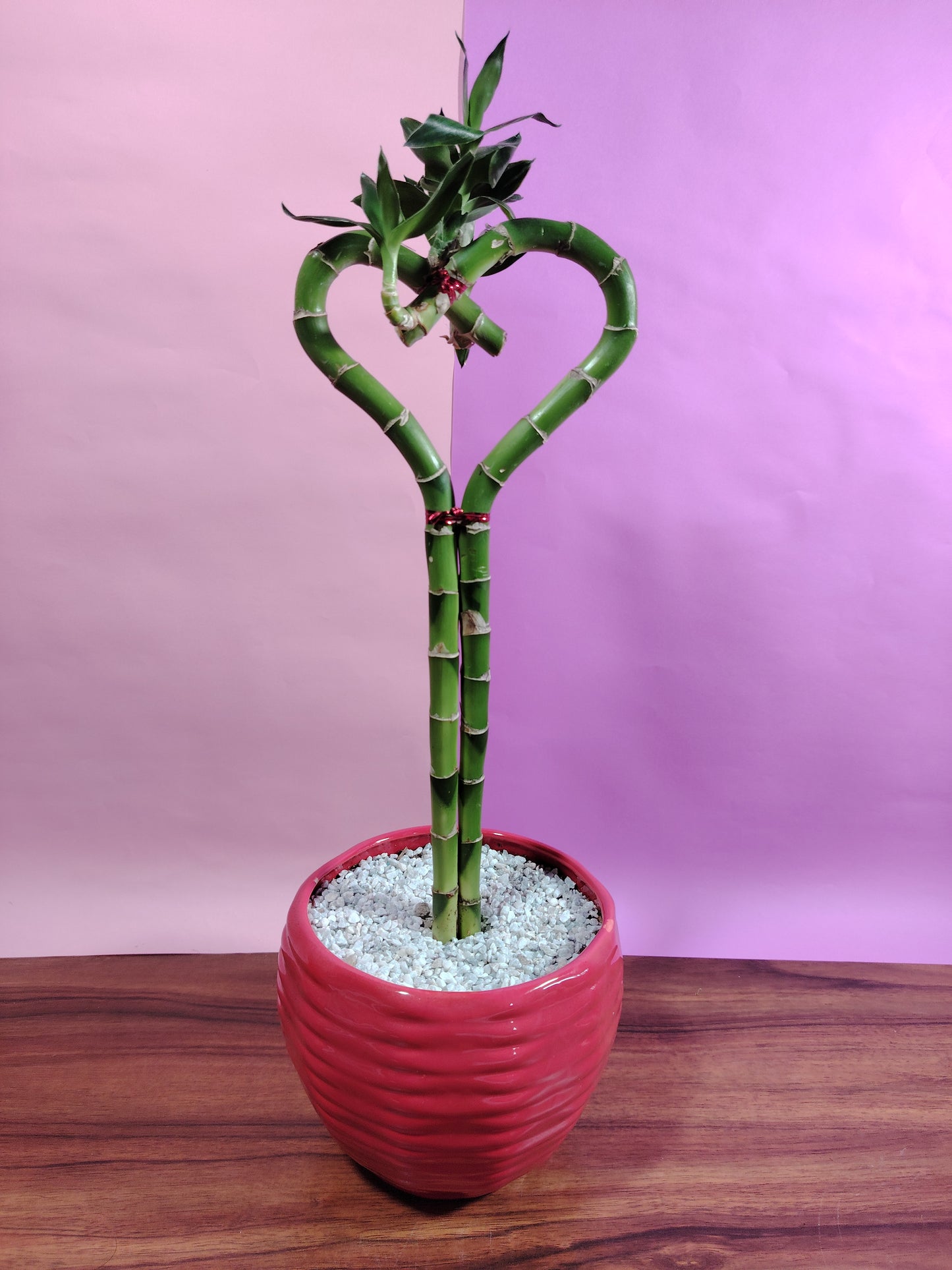 BA011- Corazón de Bambu Cerámica Roja