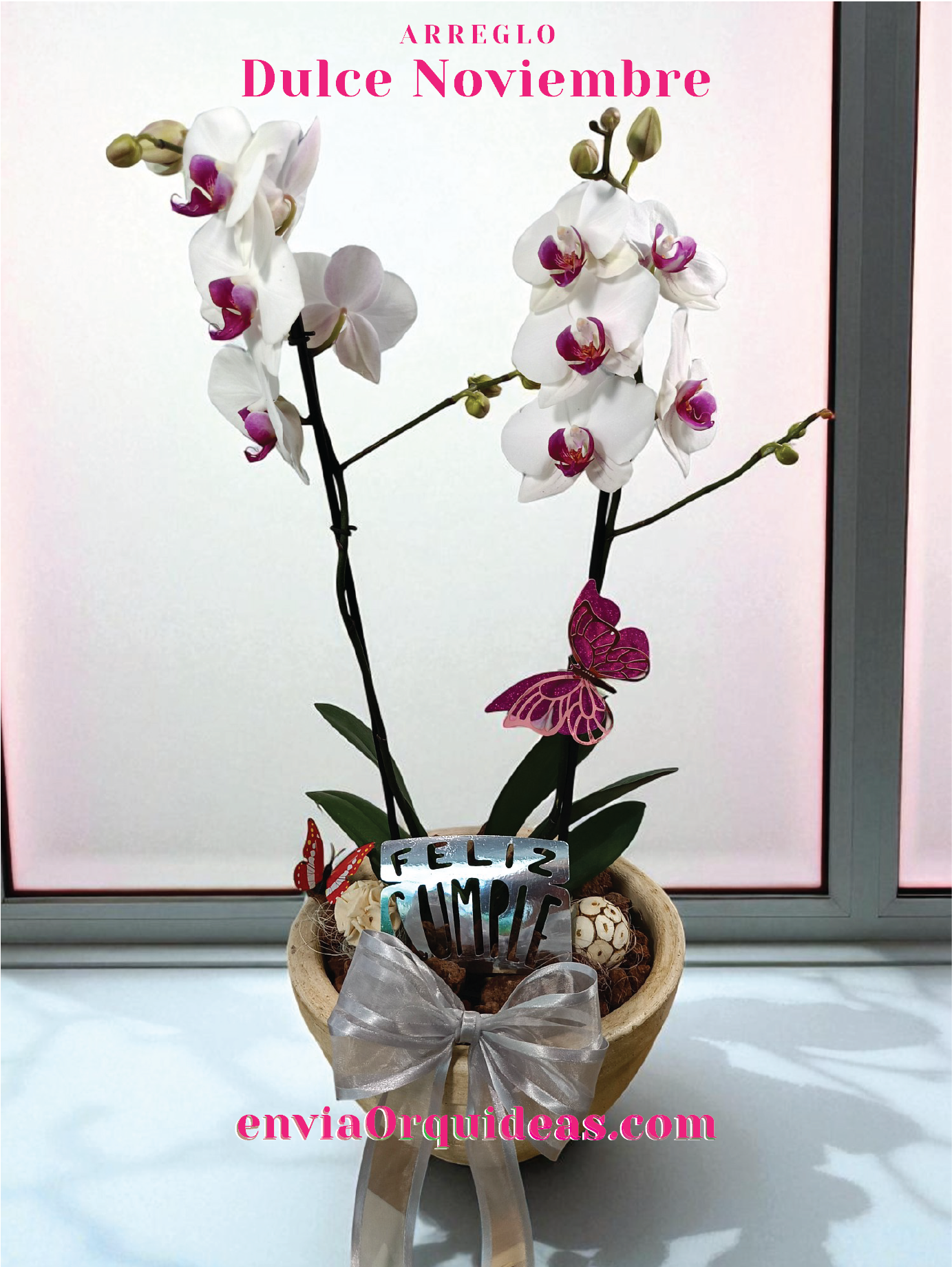 AU-004 Orquídea Dulce Noviembre