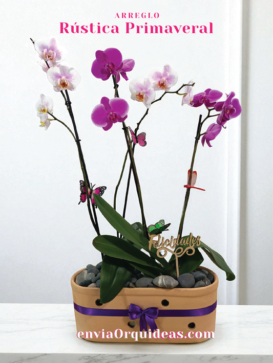 AU-005 Rústica Primavera Multi Orquídeas