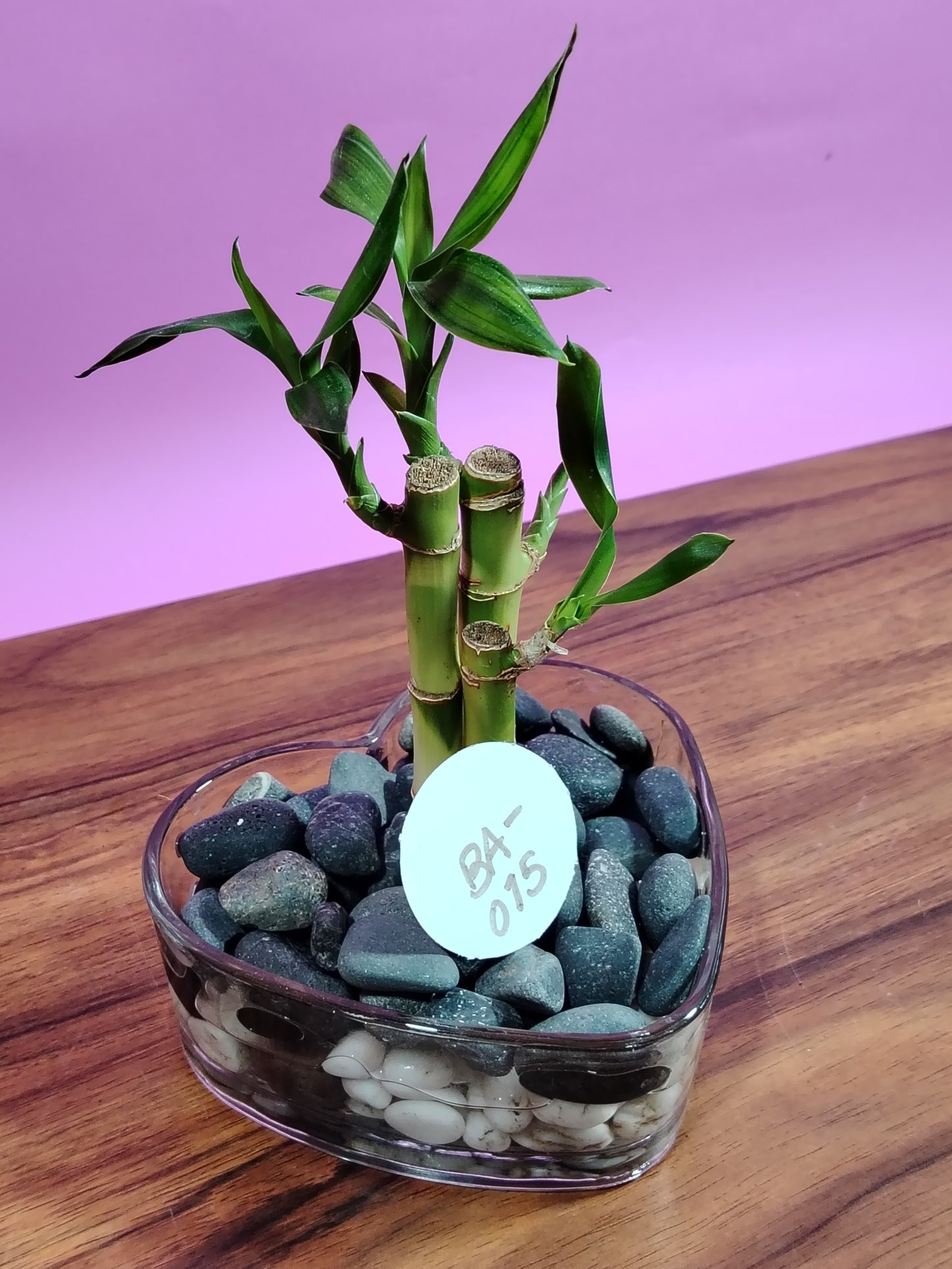 BA015- Corazón Base con 3 Bambus rectos