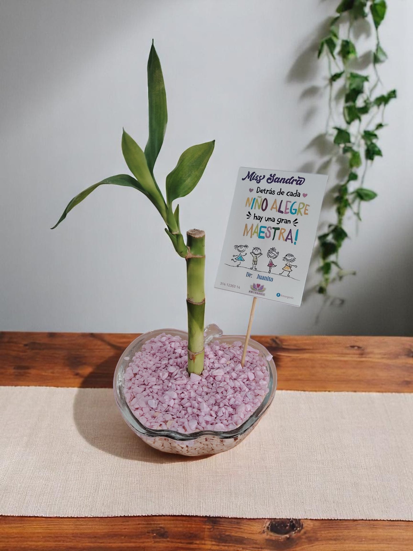 BA-018 Arreglos Bambu Maestro Manzanita