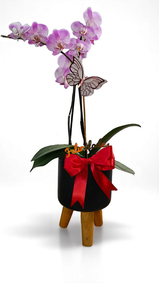 AR-012 Arreglo Phalaenopsis Base Premium metálica