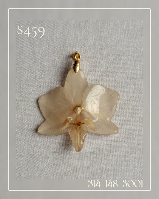 Dijes Joyería Orquídea Eternizada