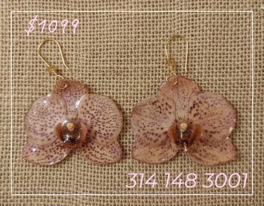 Aretes Joyería Orquídea Eternizada